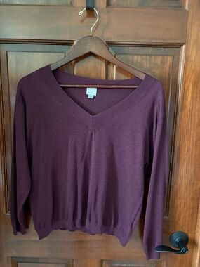 a new day lightweight V-Neck Sweater in Deep Plum- Women's XS